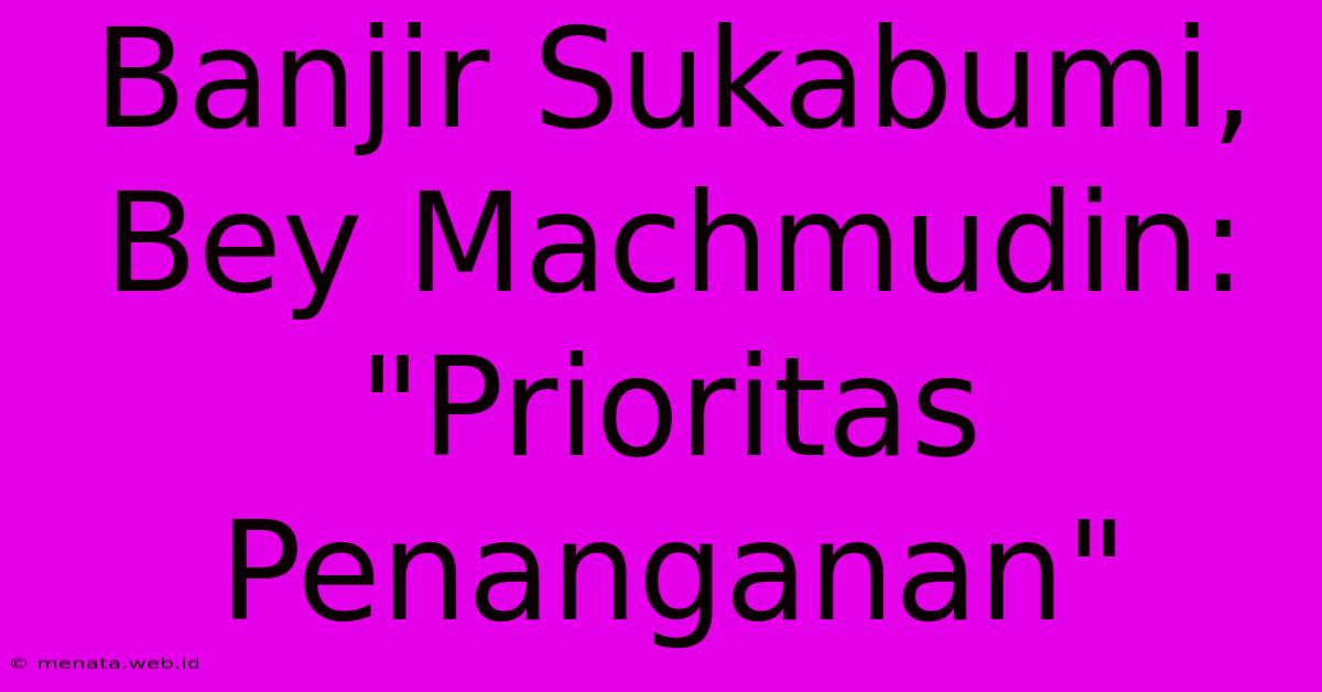 Banjir Sukabumi, Bey Machmudin: 