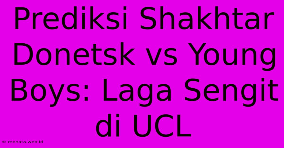 Prediksi Shakhtar Donetsk Vs Young Boys: Laga Sengit Di UCL