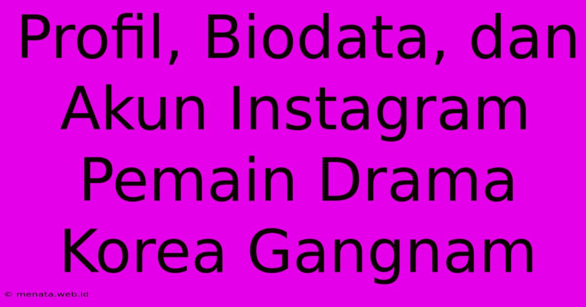 Profil, Biodata, Dan Akun Instagram Pemain Drama Korea Gangnam