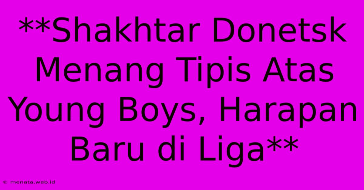 **Shakhtar Donetsk Menang Tipis Atas Young Boys, Harapan Baru Di Liga**