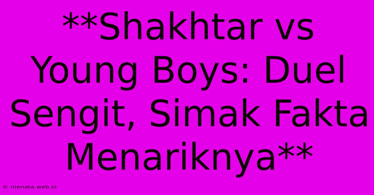 **Shakhtar Vs Young Boys: Duel Sengit, Simak Fakta Menariknya**