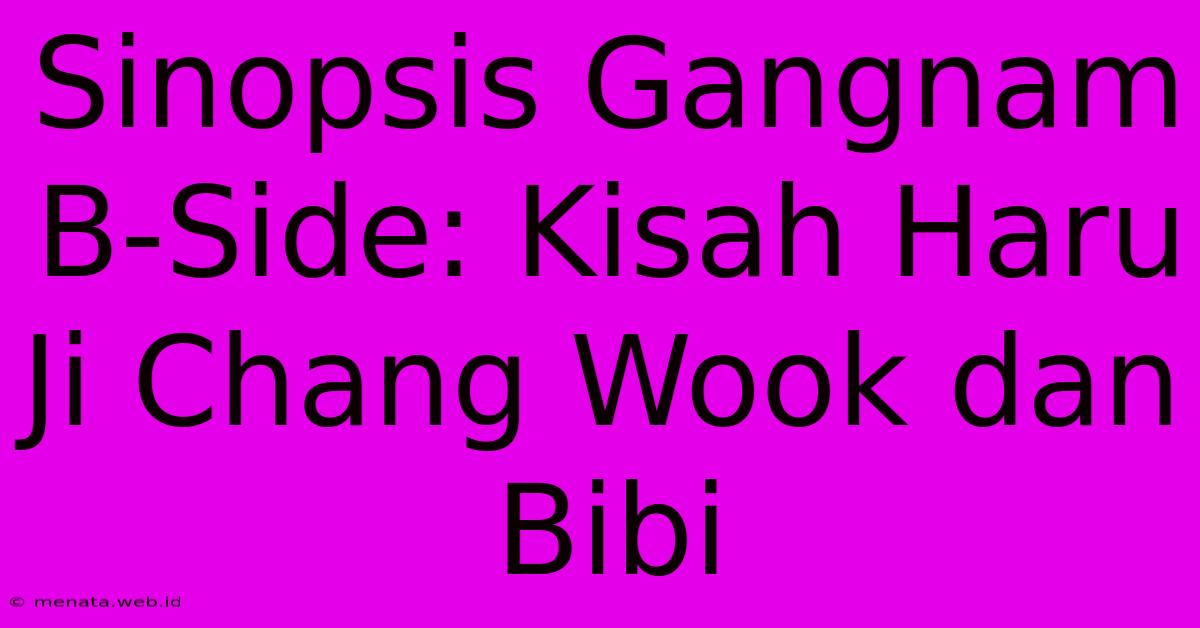 Sinopsis Gangnam B-Side: Kisah Haru Ji Chang Wook Dan Bibi