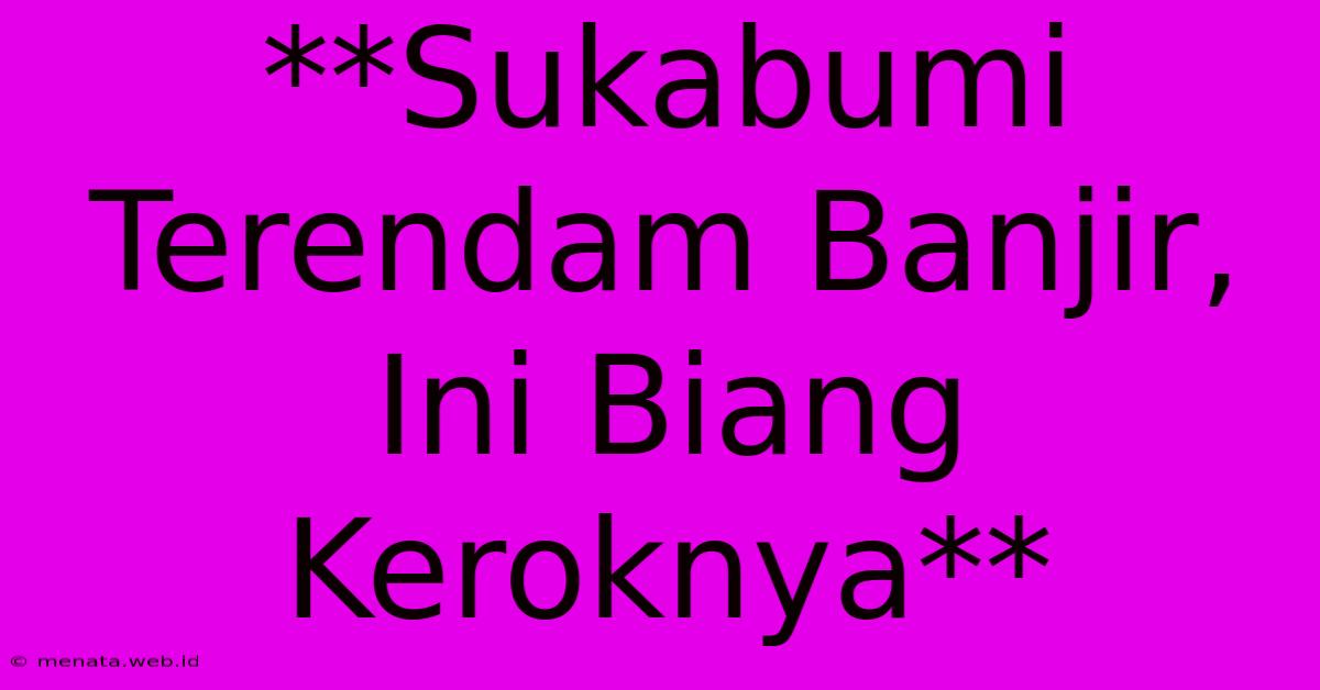 **Sukabumi Terendam Banjir, Ini Biang Keroknya**